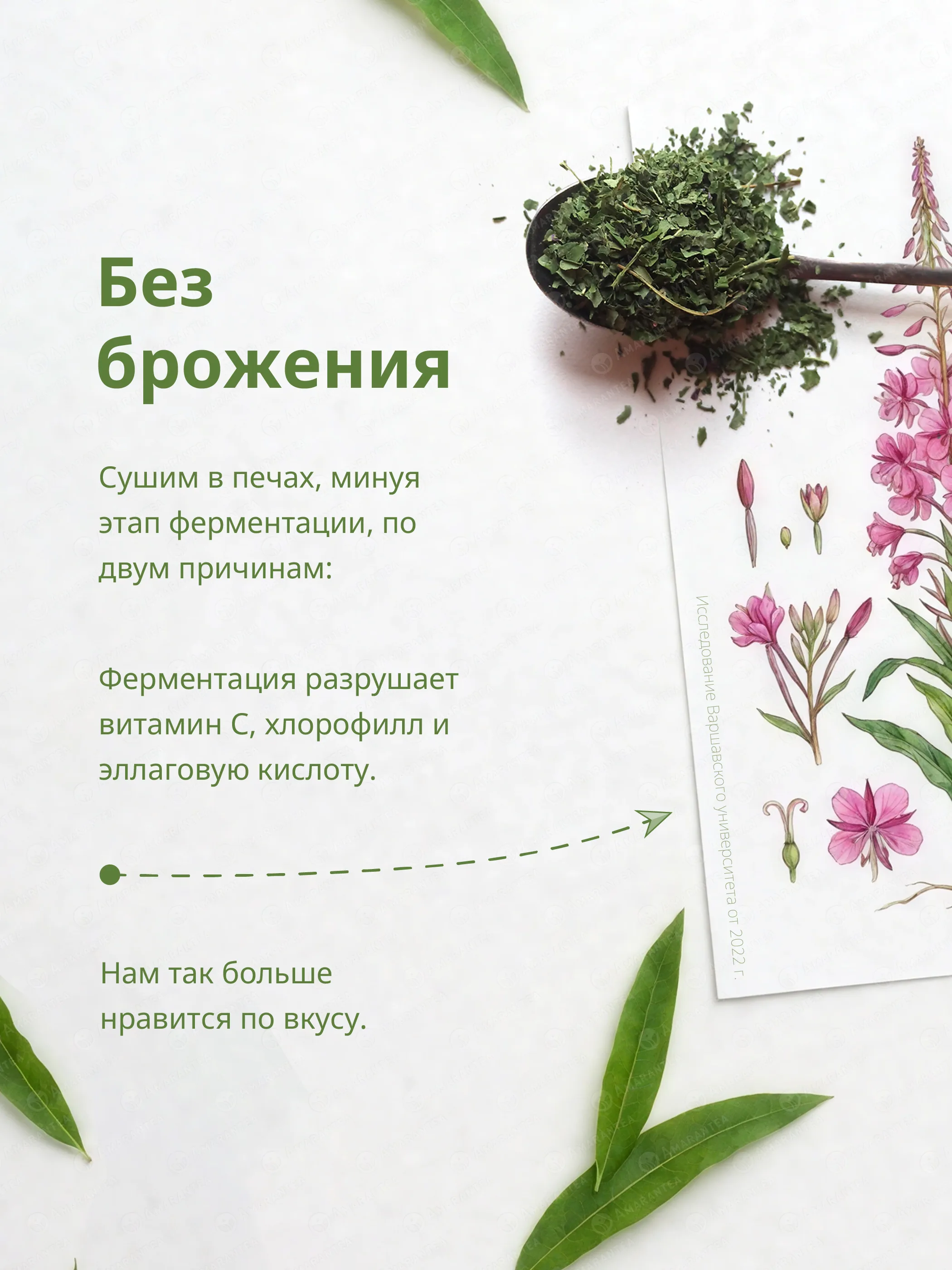 Иван-чай Зелёный - неферментированный, листовой, 100 г